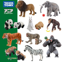 TOMY Domian Liya simulation sea and land wildlife model men and women toys lion elephant panda orangutan