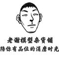 老谢模型杂货铺