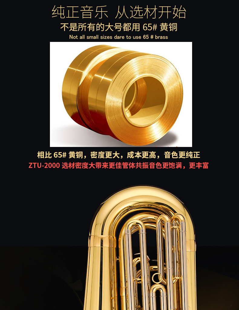 Authentic nhạc cụ châu Âu Nâng cao ba phím dọc ôm lớn điều chỉnh BBb ZTU-2000 loại nhà máy trực tiếp vận chuyển - Nhạc cụ phương Tây kèn harmonica