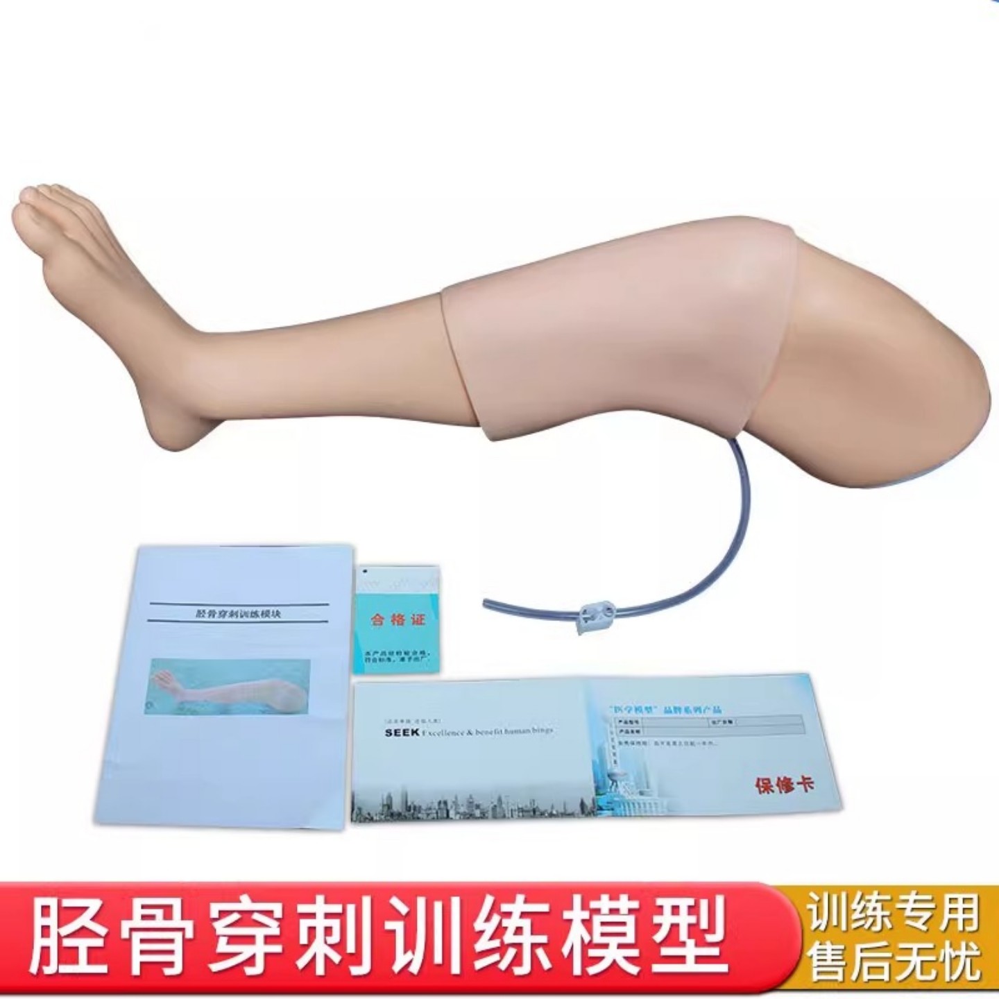 胫骨穿刺训练模块 医学急救人体教学模型 骨穿刺及股静脉穿刺练习