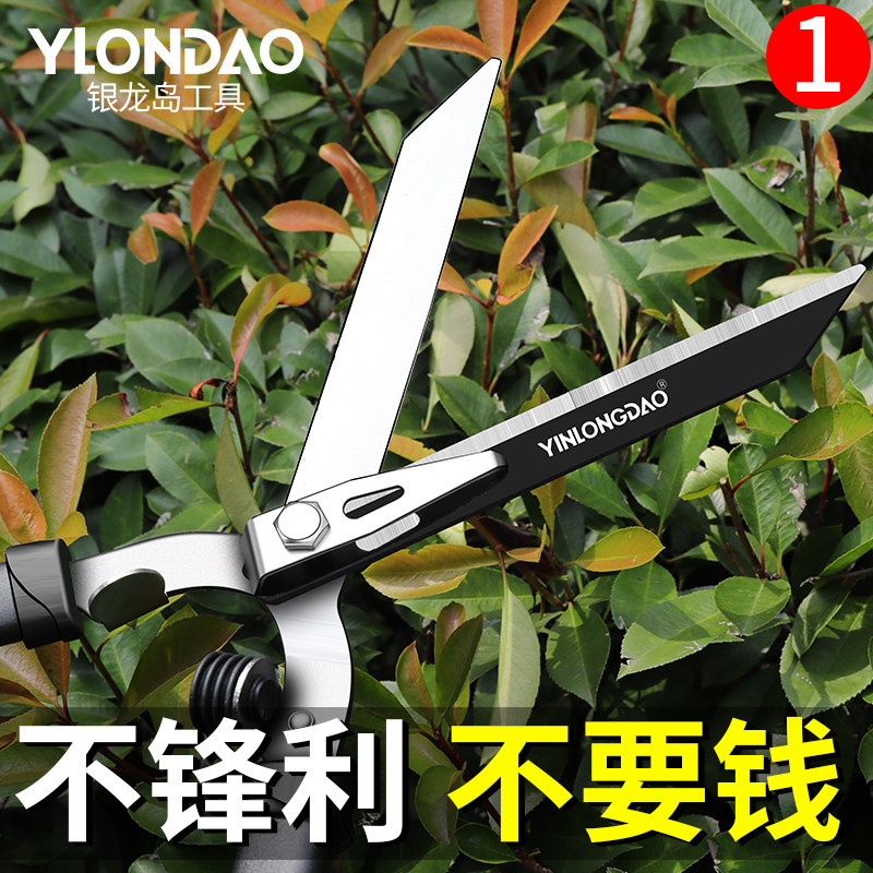 Trim lawn hedge shears gardening large scissors garden flowers pruning flowers pruning pruning flowers shearing trees shearing strong pruning branches