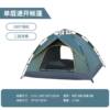 2-3 fake double-layer dark green single tents