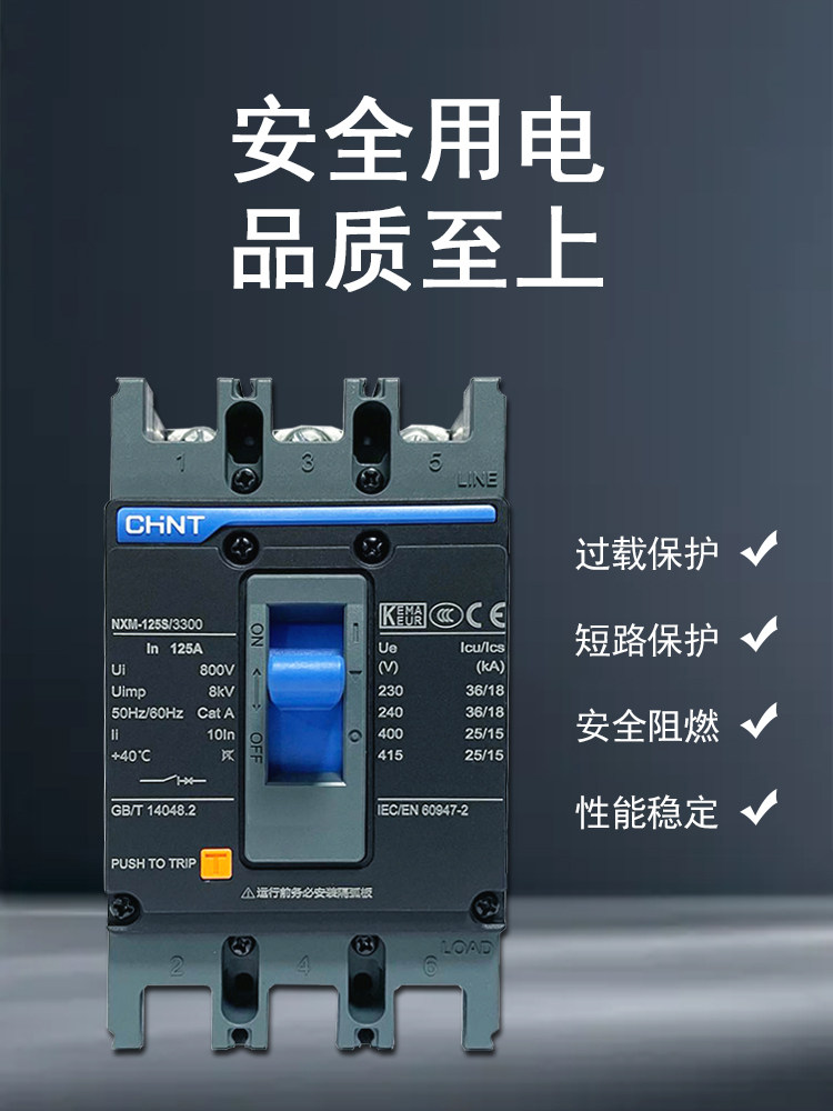 Chint NXM-125S Series NXM-125S/3300/4300B Leakage Circuit Breaker