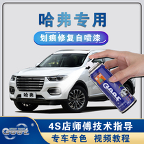 Haval H6H2M6F7 Hamilton White Paint Pen Simple White Black Car Scratch Repair Paint Self-painting