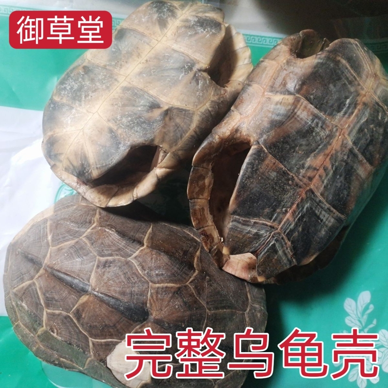 Chinese Medicinal Materials, Genuine Turtle Shell, Turtle Plates, Turtle Shells, Whole Turtle Shell, Turtle Shell from Shenwu, 500 Grams 
