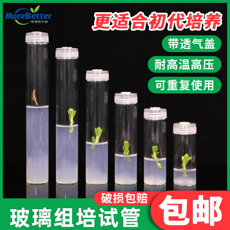 茉钡特高硼硅试管耐高温带透气盖 组培实验用玻璃瓶