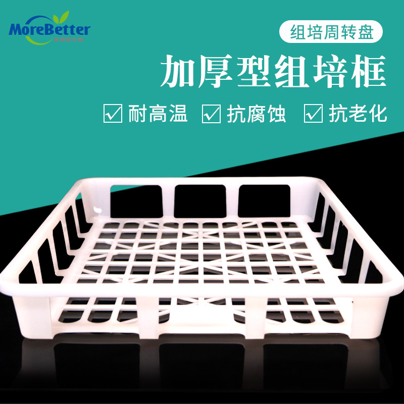 茉钡特耐高温组培筐 组培周转筐 专用托盘 优质塑料 加厚防刮手