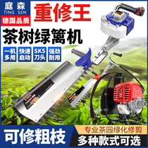Hedge machine Tea picking Tea tree pruning machine Tea cutting machine Greening single bud picking gasoline new electric artifact