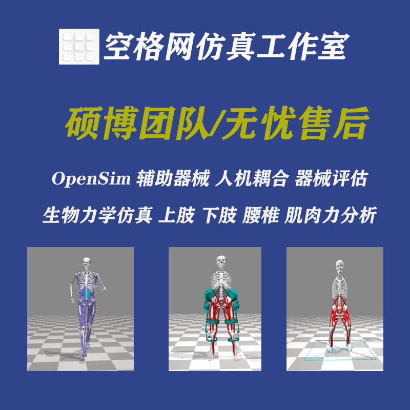 Opensim Auxiliary Device Biomechanics Kinematics Dynamics Muscle Force Simulation Analysis Opensim Auxiliary Device Biomechanics Kinematics Dynamics Muscle Force Simulation Analysis