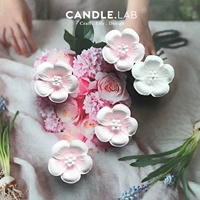 CANDLE.LAB | Hoa mận năm cánh hoa DIY Tự chế thạch cao Trải đá xe Handmade Silicone Khuôn 25 khuôn làm bánh