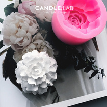 CANDLE LAB) Carnation flower DIY fragrant lavender candle expanded incense stone Mothers Day silicone molds 17