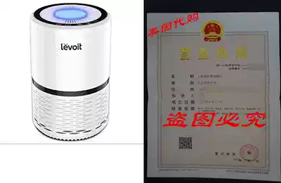 Levoit Air Purifier Filtration with True HEPA Filter Odor
