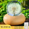 Sky Music box Heart gift Dandelion true flower healing system Transparent music box Pure love Birthday gift