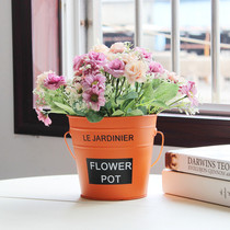 Tin bucket flowerpot small flower bucket Nordic fleshy flower machine creative storage bucket personality iron bucket desktop decoration ornaments