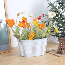 Retro hemp rope tin bucket large green iron flower pot fleshy green flower planter do old tin bucket Oval Basin