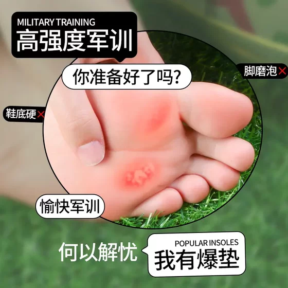 악취 땀-흡수 및 통기성 여름 서기 장비 안티 페인 부드럽고 편안한 ZC에 대한 inSole 아치 지원