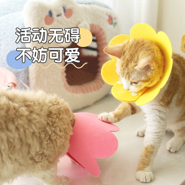 Elizabethan collar cat sterilization collar Elizabethan collar anti-licking collar headgear dog collar ອຸ​ປະ​ກອນ​ສັດ​ລ້ຽງ