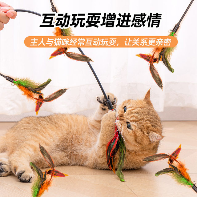 Feather funny cat stick cat toy ບັນເທົາທຸກຄວາມສຸກຂອງໂຕເອງຍາວ pole fight cat stick bell bite-resistant kitten and kitten cat scratching post