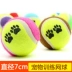 Pet puppy dog ​​toy ball vocal mol cắn đào tạo Teddy gấu con chó con đồ chơi mèo Mèo / Chó Đồ chơi