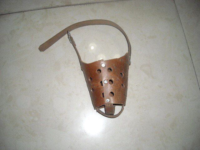 Large Dog Mask Wolf Dog Mouth Cover