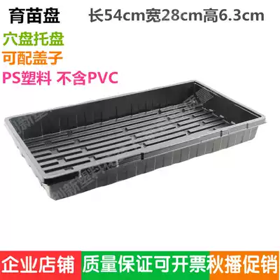 Seedling plate nursery box fleshy leaves bean sprouts tray sprouts nursery plate planting sowing plate