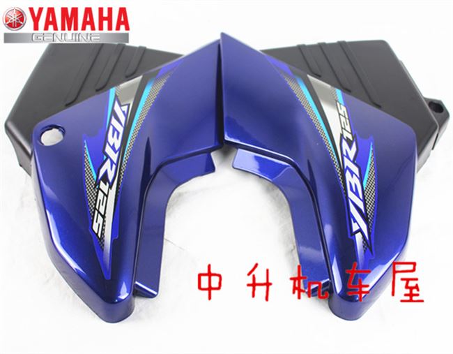 Xây dựng phụ kiện xe máy Yamaha jym125 Tianjian ybr bên nắp đậy nắp pin - Kính chắn gió trước xe gắn máy