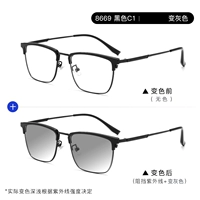 8669 черный + матовый до серого