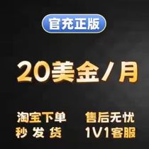 {After-sale guarantee} Membership subscription 4o 40 Shared exclusive Ordinary 3 5 Design plan