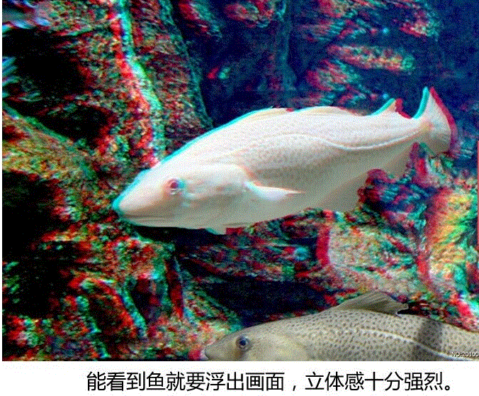 Lunettes 3D - Ref 2622351 Image 15