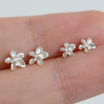 bi into the ears cute fresh plumpflower flower earrings S925 sterling silver all hypoallergenic women
