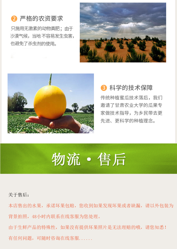 伊千寻 当季甘肃民勤黄金蜜瓜 3颗净重8.7-9斤 图9