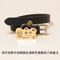 Черный воротник+карта костной собаки