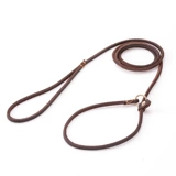 Коровидная сцепление с собакой веревка маленькая собака P Цепочка шеи набор кота плюшевые снежные медведи медведя