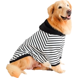 Большая собачья одежда осень и зимние золотые волосы собака лабрадор осень милая средняя собака большая собака зима самуи