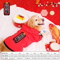 Белая и зеленая пища