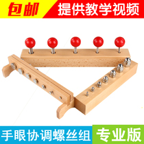 Montessori teaching aids Montessori Early education International Kindergarten puzzle new screw combination Living area exercise