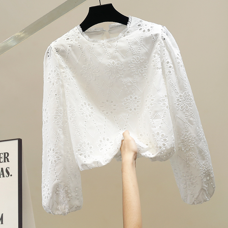 Fashionable New White Lace Hollow Crochet Long-Sleeve Shirt for Women, Slim-Fit Short Top with a Stylish Design