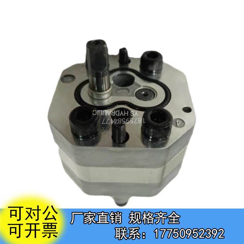 Hegris Automotive Tailgate Oil Pump 1.5 Ton 2 Ton Giant Hydraulic Tailgate Imported Gear Pump P23 P30Ln