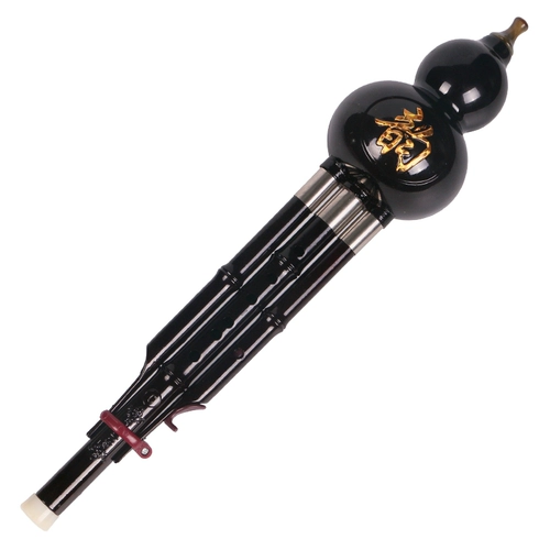 竹霖生 Музыкальные инструменты для начинающих, профессиональные учебные пособия для взрослых, защита при падении