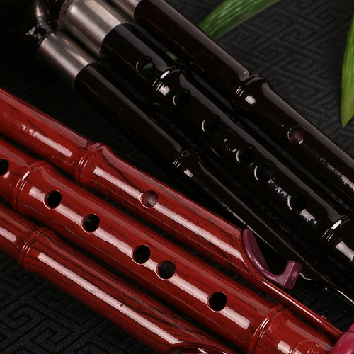 竹霖生 Музыкальные инструменты для начинающих, профессиональные учебные пособия для взрослых, защита при падении