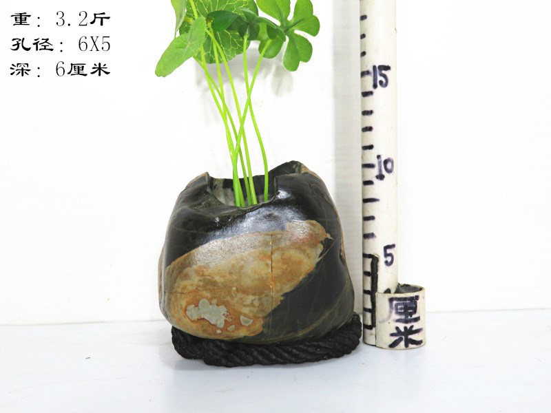 Chín bức tường đá bình hoa đá chậu hoa văn hóa nước hoa đá tự nhiên hoa khô chèn hoa nghệ thuật retro chậu hoa - Vase / Bồn hoa & Kệ chậu hoa treo