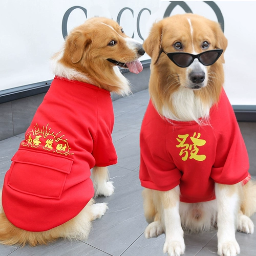 Одежда Big Dog Осенью и Зимние Золотой Рэй Самоед