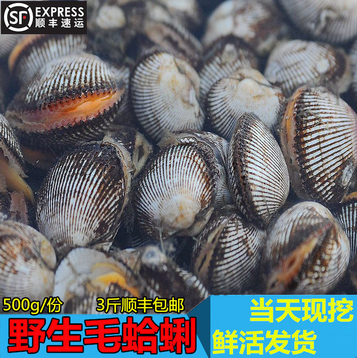 海鲜哈喇,海哈喇图片,哈喇_文秘苑图库