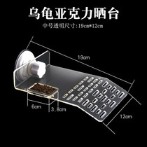 Tortoise drying table turtle climbing turtle turtle back ornaments landscape climbing ladder turtle resin nest size to avoid