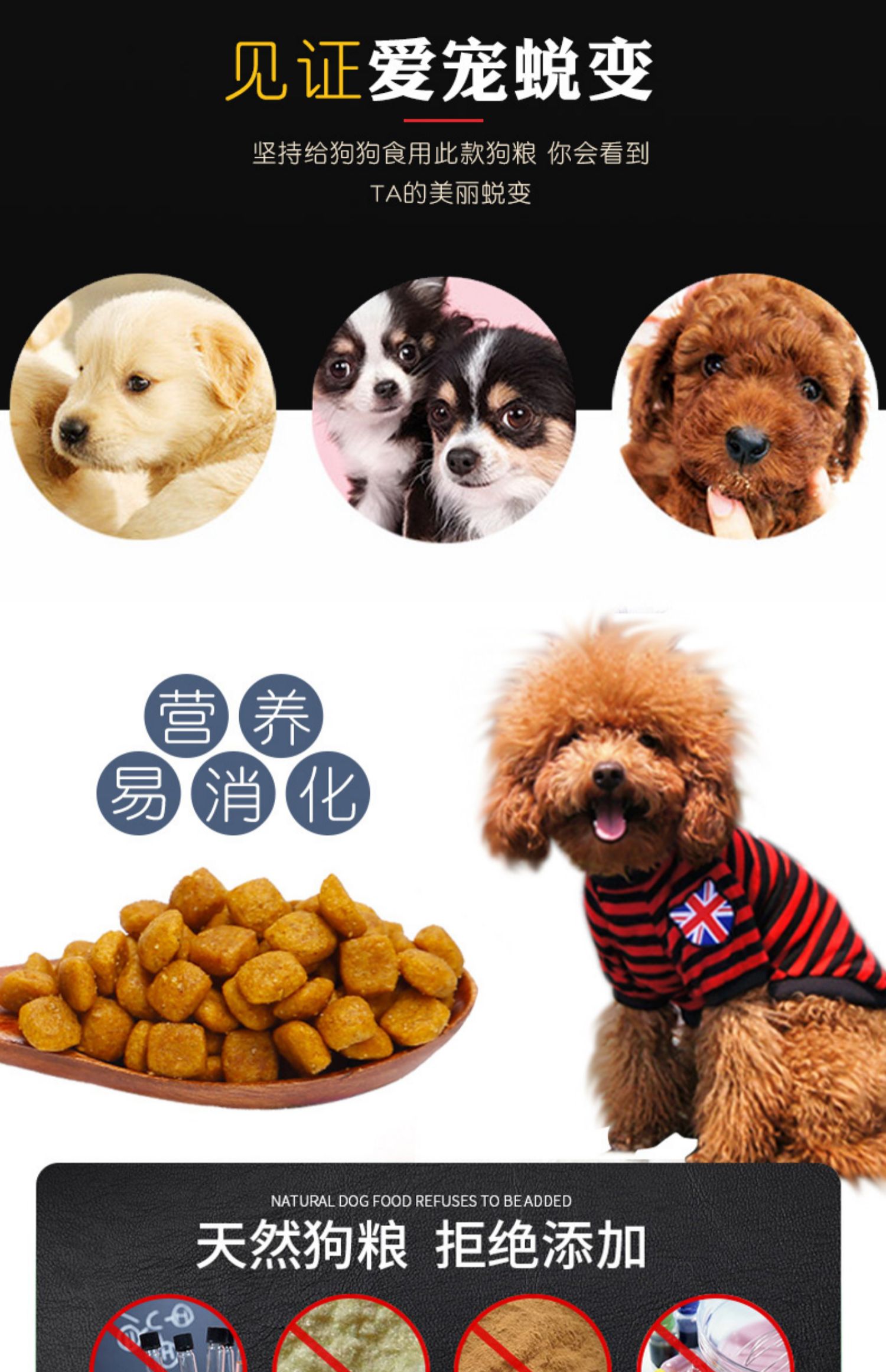 Thức ăn cho chó Yourui 5kg chó trưởng thành Teddy VIP Bomei hơn Xiong Xuenerui chó nhỏ gói thức ăn chính 10 kg - Chó Staples thức ăn royal canin cho chó