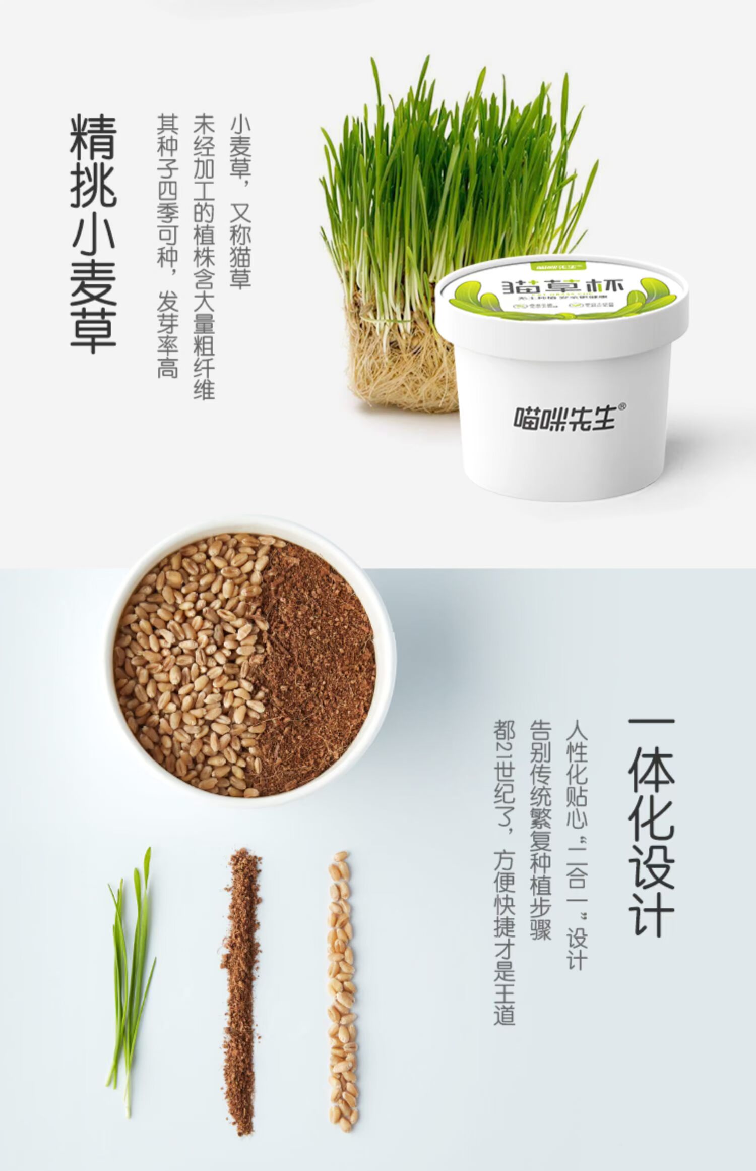 Cây cỏ mới của ông Demi trồng thủy canh 2 thế hệ mèo hạt giống đất văn hóa mèo tiêu mèo ăn nhẹ tóc - Đồ ăn nhẹ cho mèo Có nên trộn 2 loại hạt cho mèo