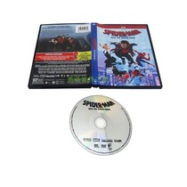 Spider-Man: Into the Spider-Verse Movie DVD Disc