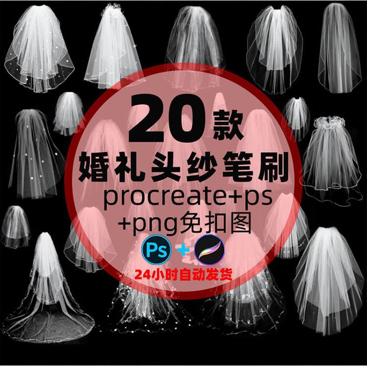 Beautiful Wedding Veil with Long Train, Mesh Headpiece, Png Clipart, Procreate/Ps Brush Drawing Materials Beautiful Wedding Veil with Long Train, Mesh Headpiece, Png Clipart, Procreate/Ps Brush Drawing Materials