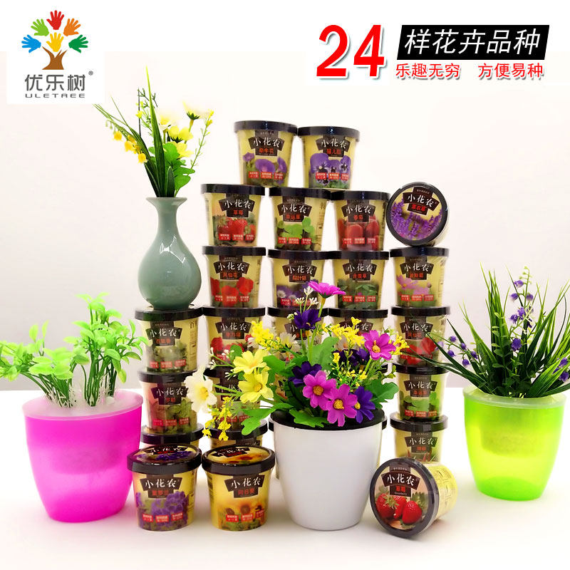 Children planting small potted seeds kindergarten birthday gift mimosa potted DI four seasons plant automatic water absorption