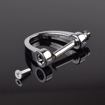 Car key buckle accessories Metal horseshoe buckle anti-loss male and female motorcycle Horse dente buckle D-shaped chain ring hanging accessory